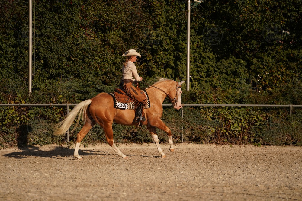 s_A_906784.JPG